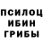 Псилоцибиновые грибы MAGIC MUSHROOMS llVanyall