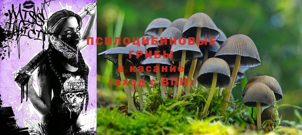 ГАЛЛЮЦИНОГЕННЫЕ ГРИБЫ Бугульма