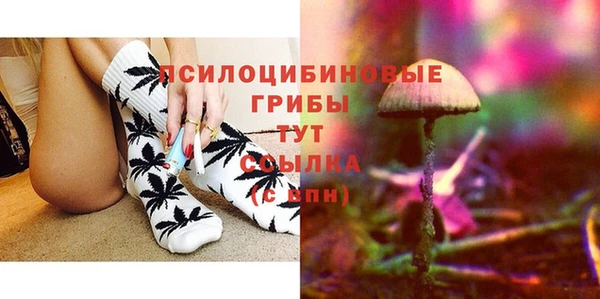 ГАЛЛЮЦИНОГЕННЫЕ ГРИБЫ Бугульма