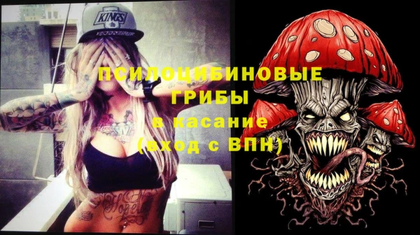 ГАЛЛЮЦИНОГЕННЫЕ ГРИБЫ Бугульма