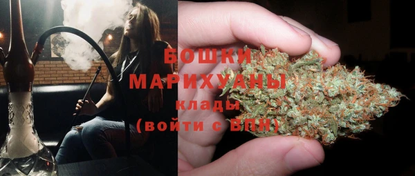 ГАЛЛЮЦИНОГЕННЫЕ ГРИБЫ Бугульма