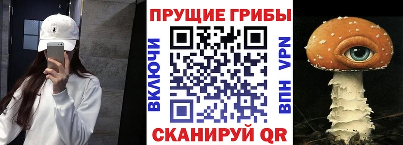 Псилоцибиновые грибы Psilocybine cubensis  Городец 
